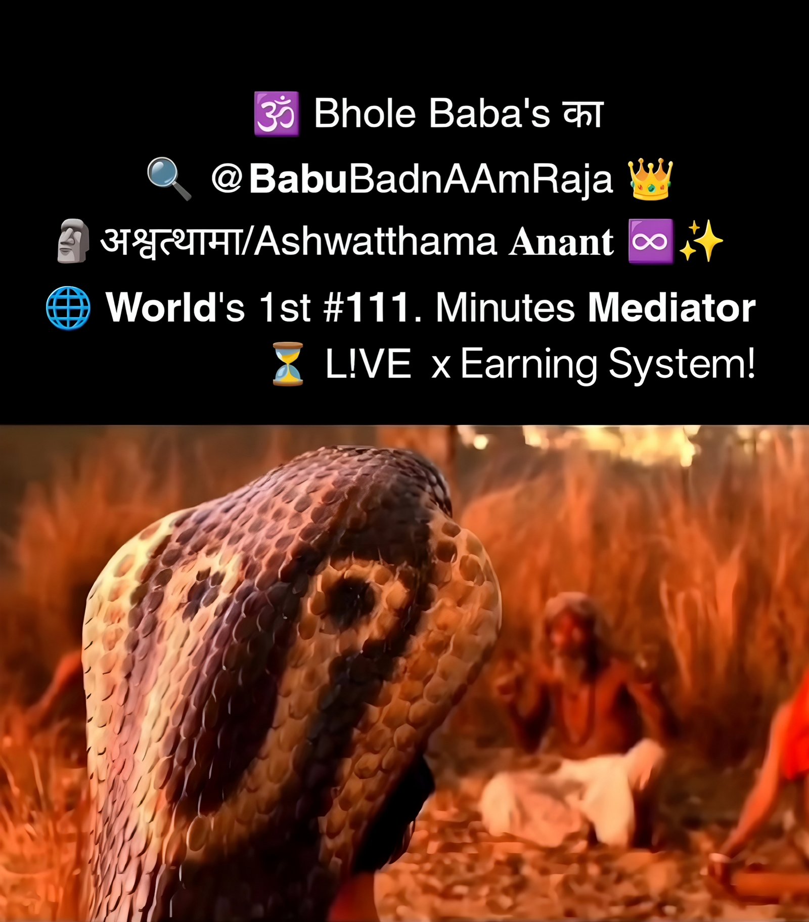 Babu BadnAAm Raja